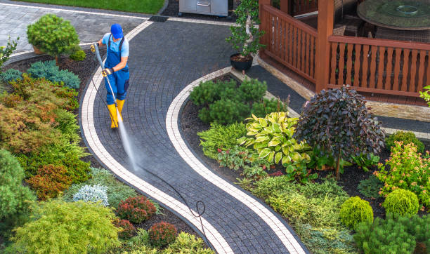 Best Best Pressure Washing Companies  in Piketon, OH